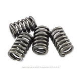 EBC CSK Series Heavy Duty Clutch Spring Kit for Honda CR250R 1994-2007