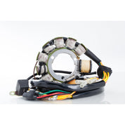 Ricks Stator 21-555