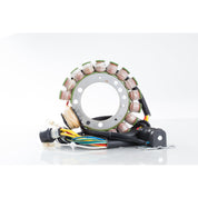 Ricks Stator 21-900