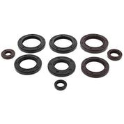 QuadBoss Oil Seal Set - 822991