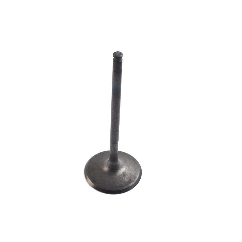 WSM Intake Valve for Polaris 450 - 1000 11-23 017-403-01