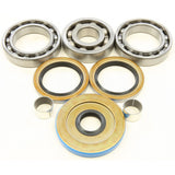 All Balls Rear Differential Bearing And Seal Kit 25-2096