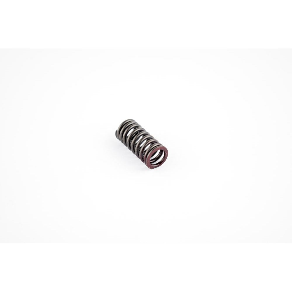 WSM Exhaust Valve Spring for Yamaha 1000 / 1100 010-033