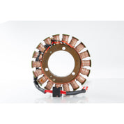 Ricks Stator 21-218