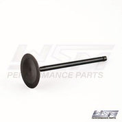 WSM Intake Valve for Yamaha 150 Hp 4-Stroke 11-21 120-221