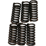 Kit de resortes CSK para discos de embrague EBC para Triumph Sprint ST (1050 cc) 05-09