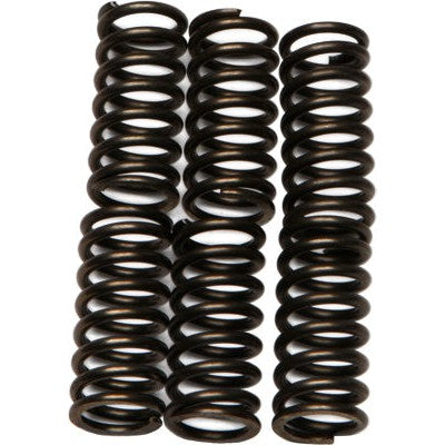 EBC Clutches CSK Clutch Spring Kits for Yamaha XVS 650 V Star Classic 98-10