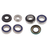 Lower Drive Shaft & Upper Jack Shaft Bearing & Seal Kit Expedition 550F 05-08