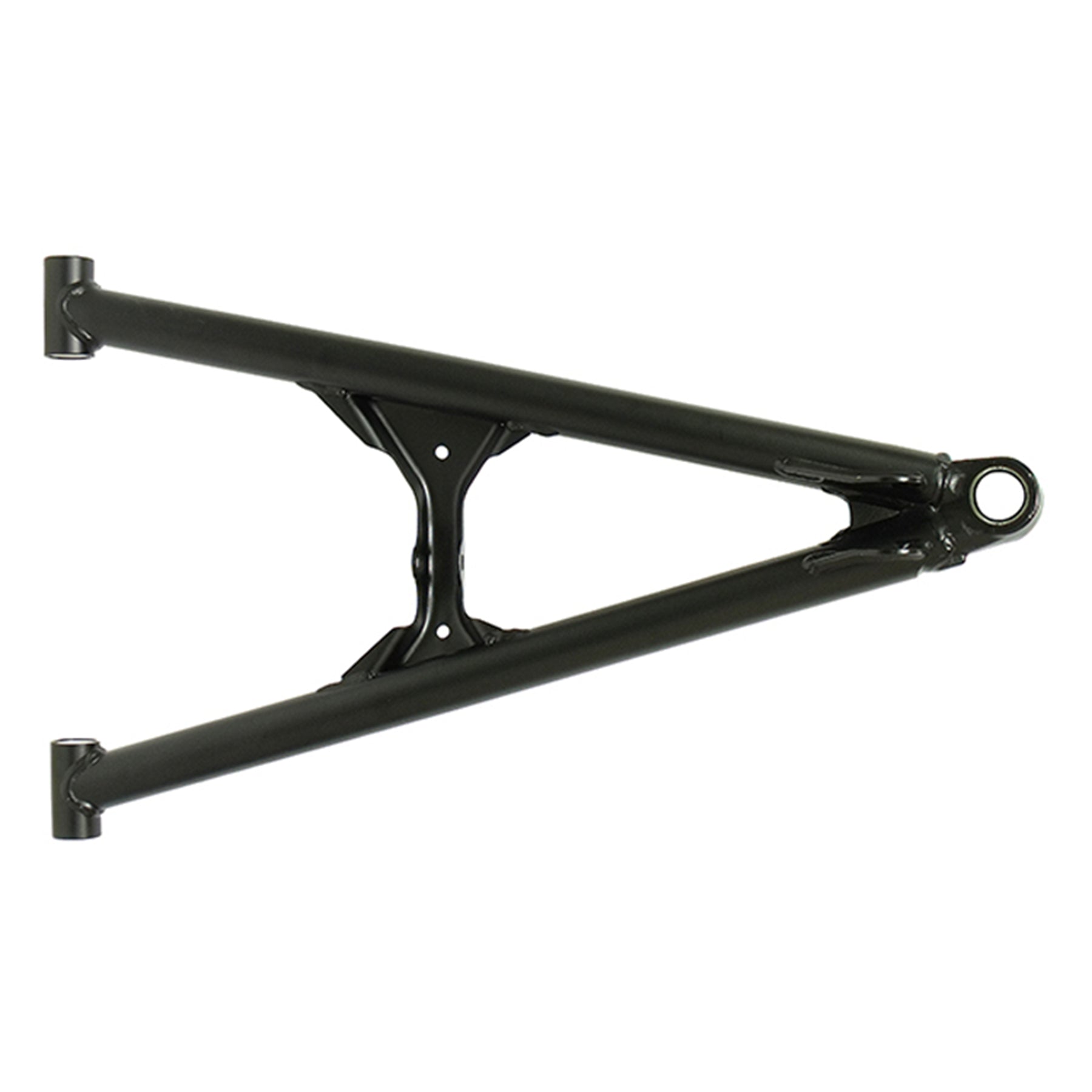 sc-08153l.jpg