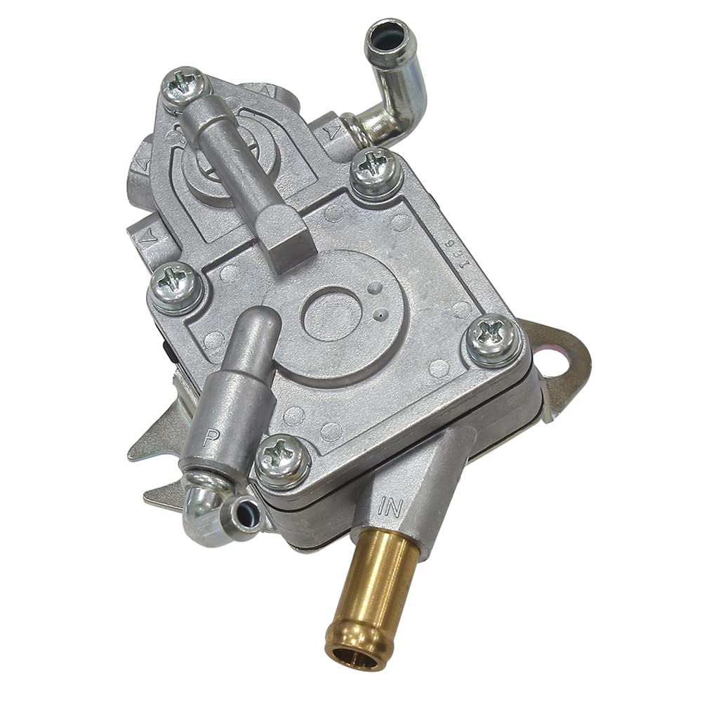 sm-07203.jpg